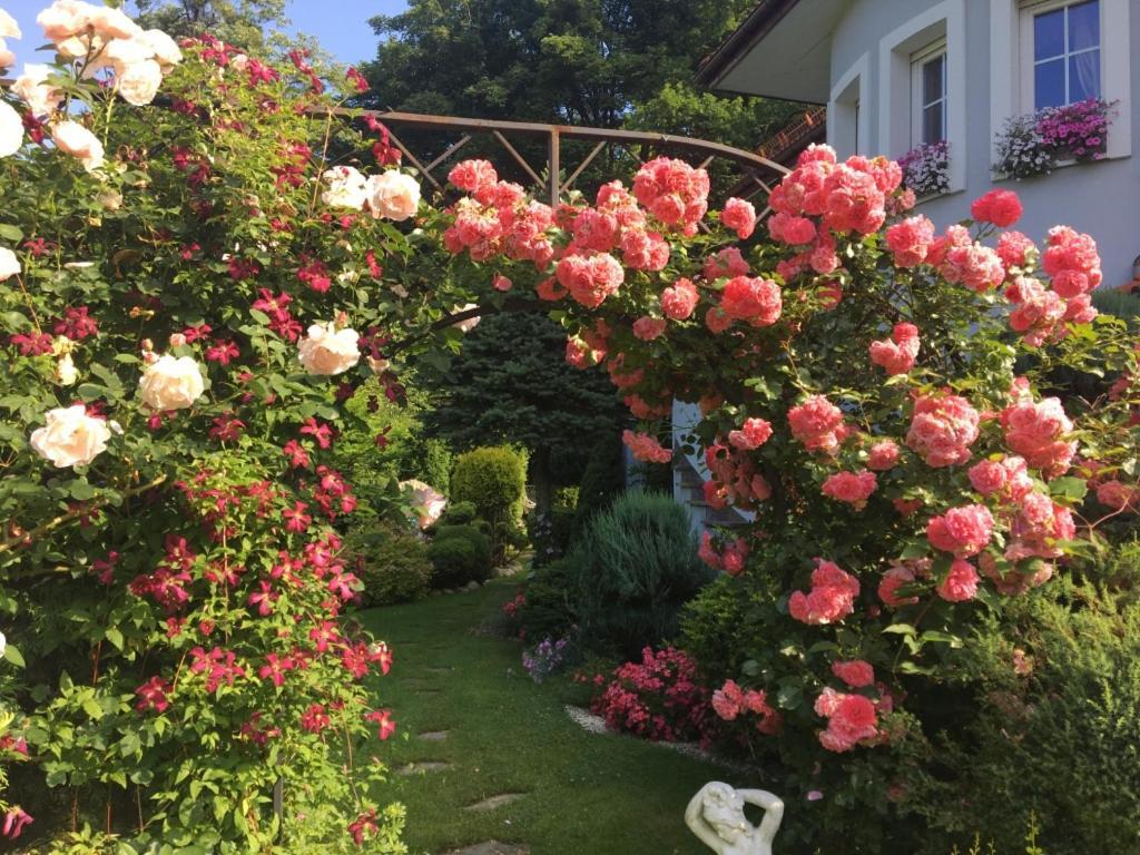 Domek I Apartamenty Zacisze Brenna Kültér fotó